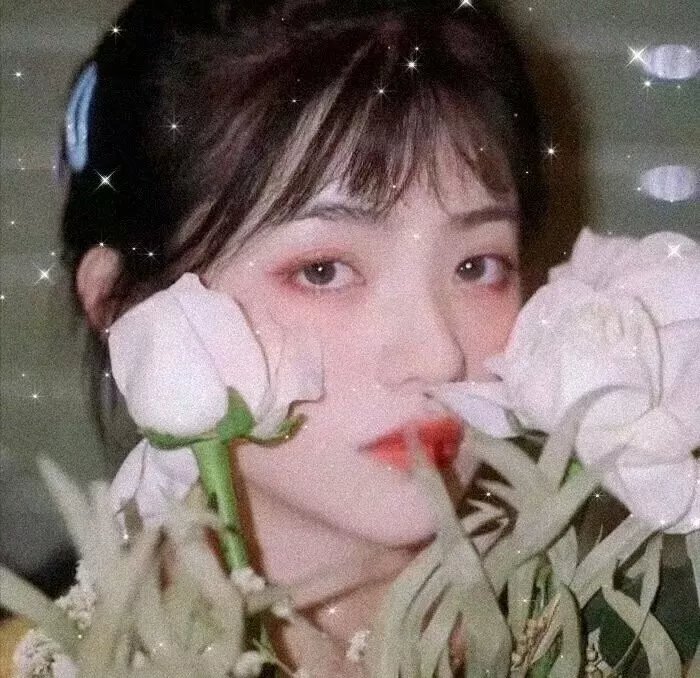 瓦尼娜·瓦尼尼